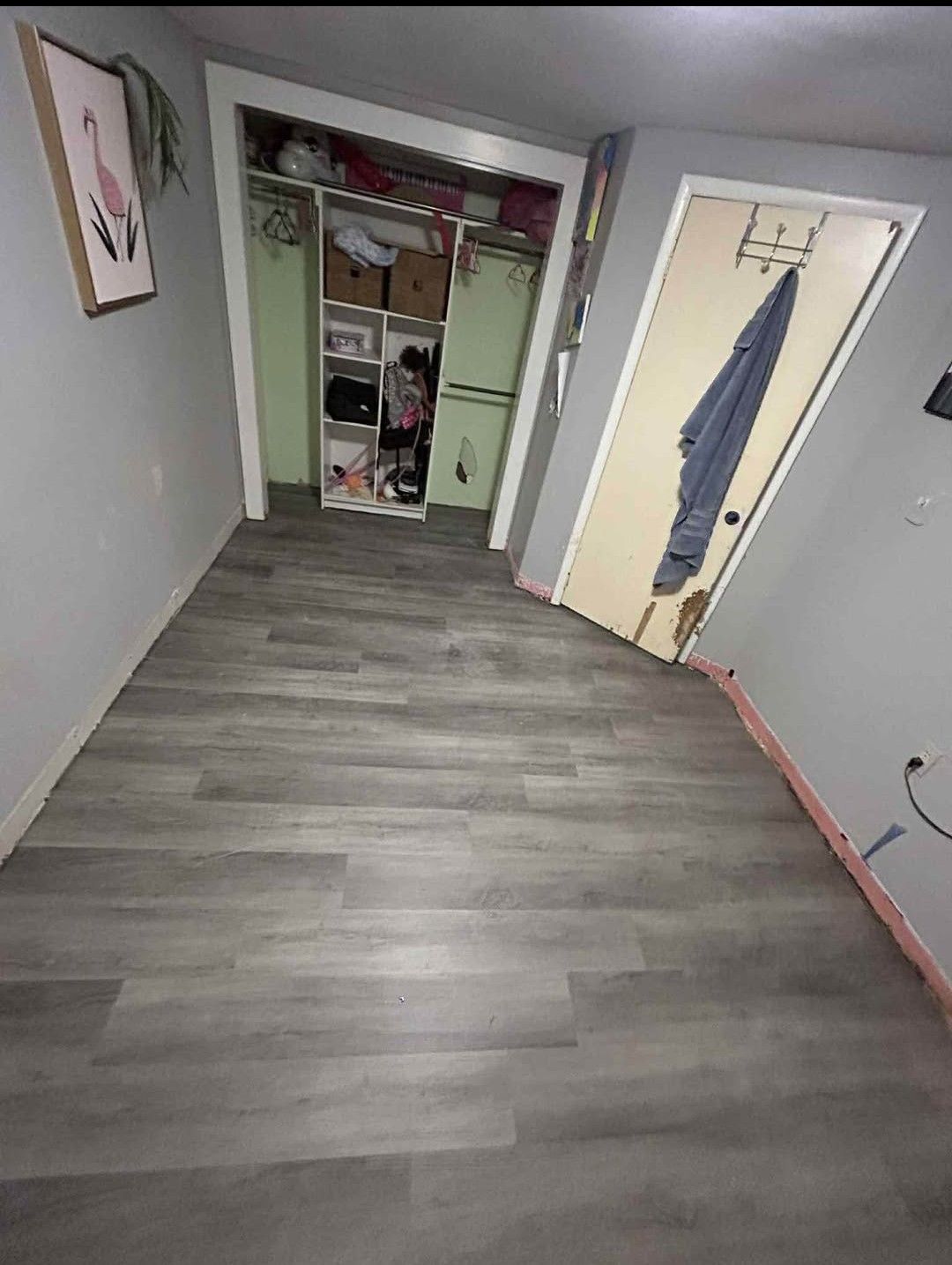 Luxury Vinyl Plank — Boulder, CO