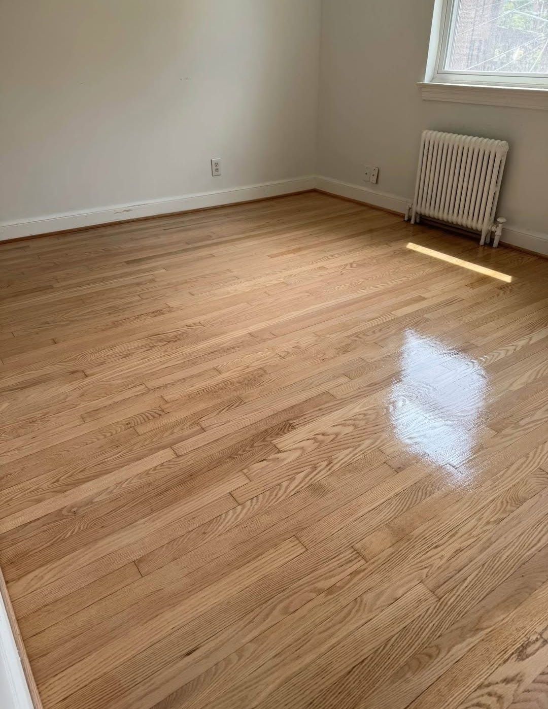 Red Oak Refinish — Colorado Springs, CO