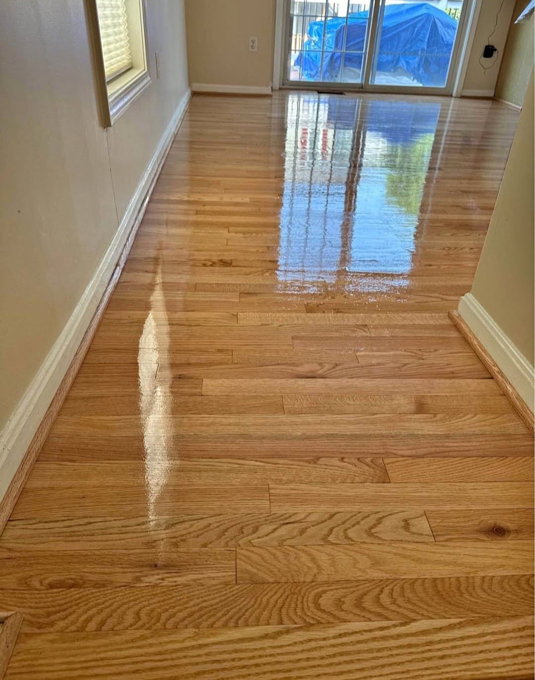 Red Oak Refinish — Littleton, CO