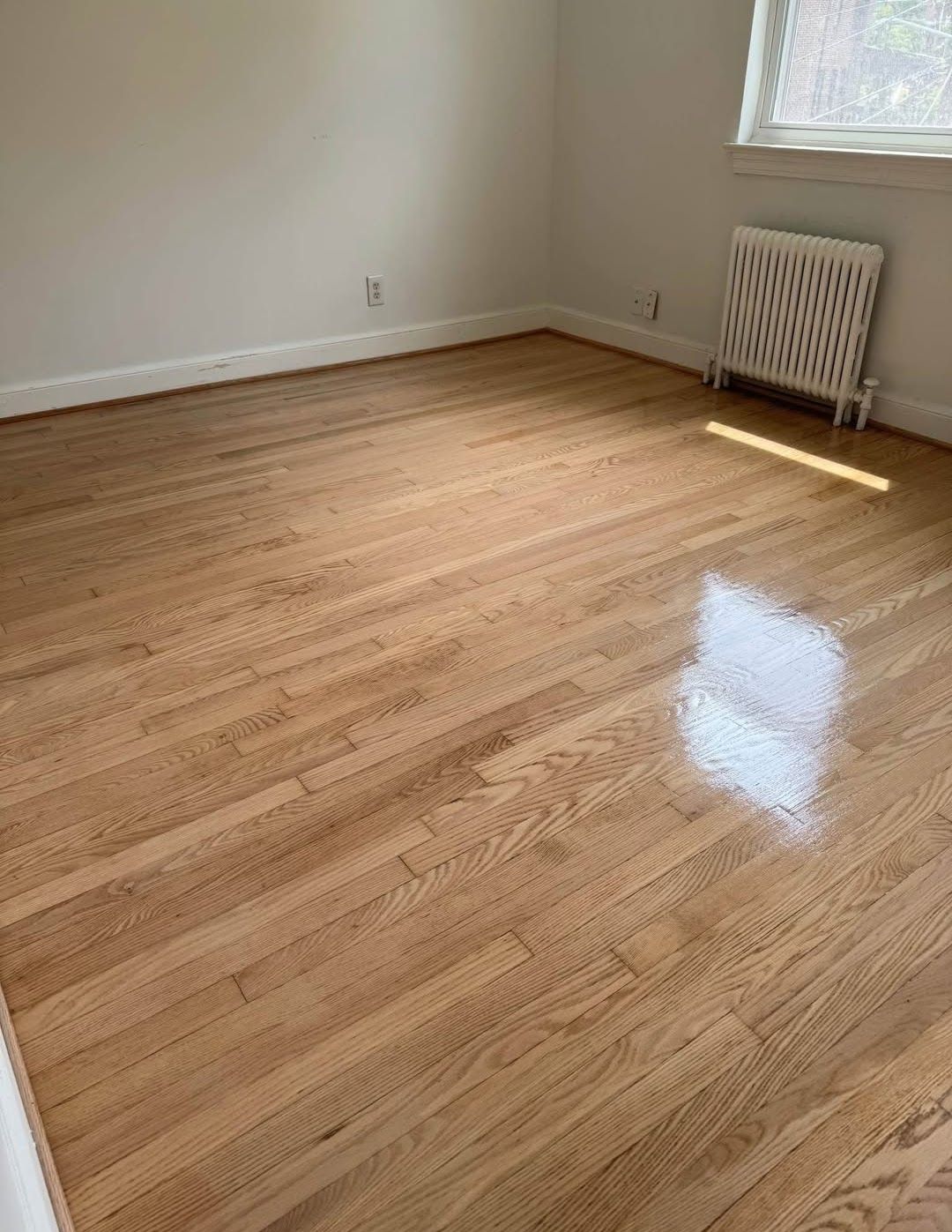 Red Oak Refinish — Denver, CO